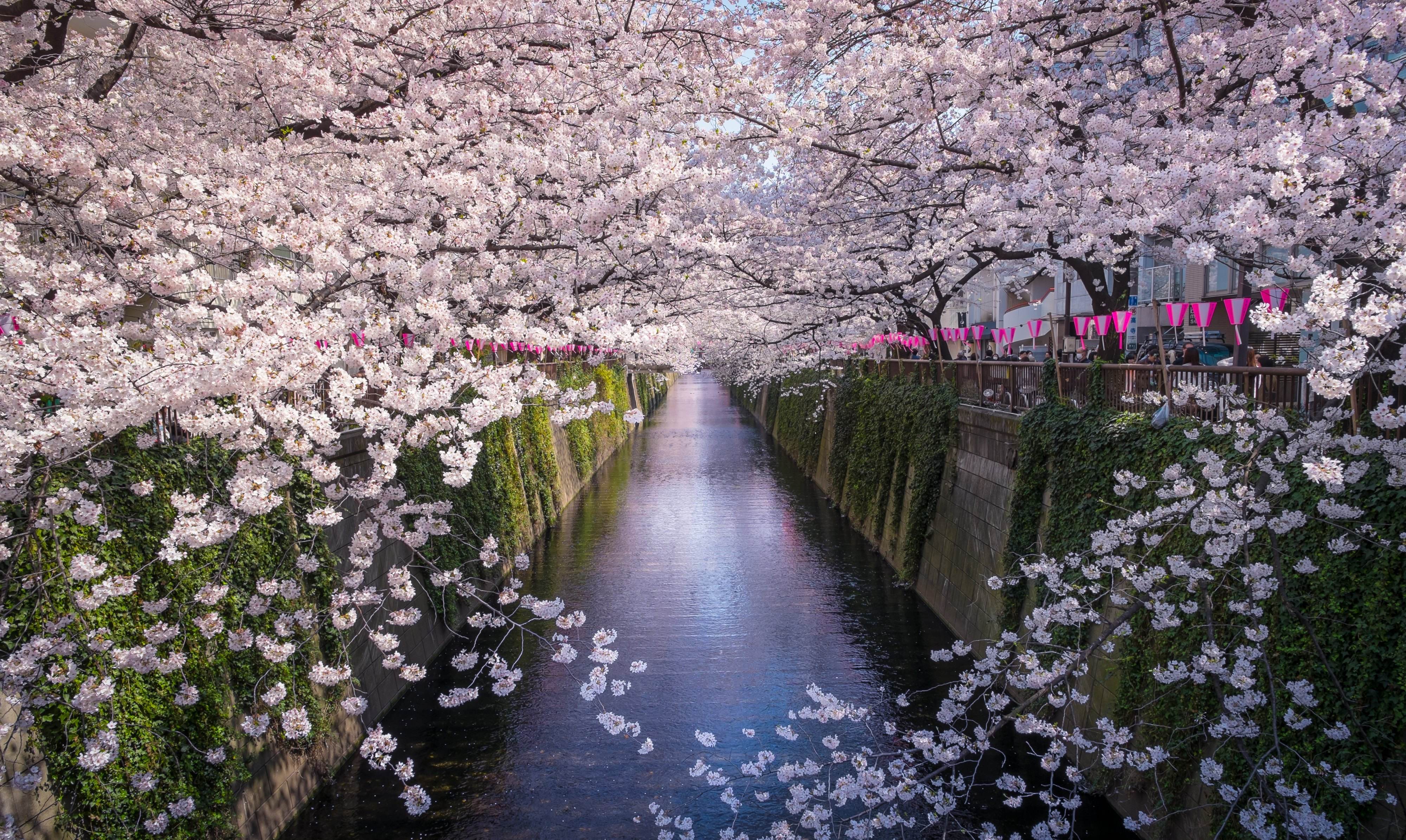 3e3365cf4eb18dcebe2747581133eaf2.jpeg 3e3365cf4eb18dcebe2747581133eaf2.jpeg